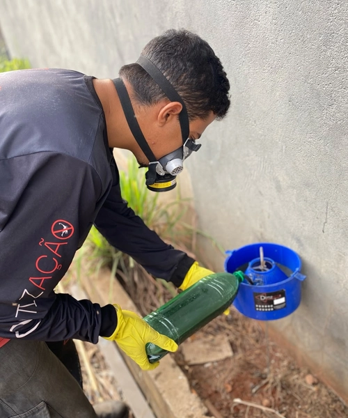 Dedetiza&ccedil;&atilde;o de moscas profissional em Sertan&oacute;polis Londrina e Arapongas