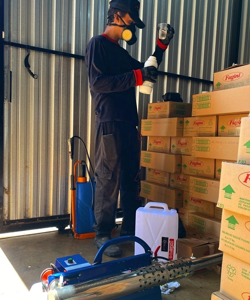 Dedetização de traças eficiente em Sertanópolis Londrina e Arapongas Dedetização de traças eficiente em Sertanópolis Londrina e Arapongas